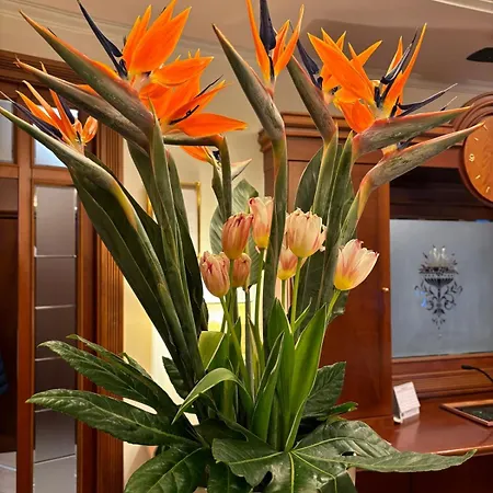 Hotel Valle Rossa 4*